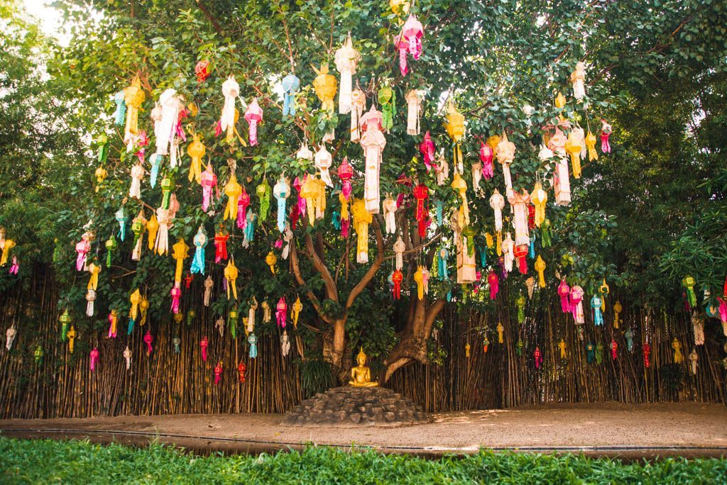 farolillos wat phan tao chiang mai