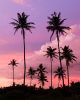 Atardecer en Mirissa