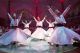 Danza de los Derviches Girovagos (Civitatis)
