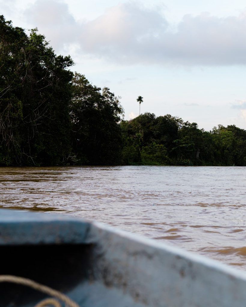 Paseo en barca por el río Kinabatangan para ver orangutanes salvajes