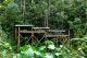 Plataforma de alimentación de orangutanes