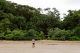 Selva justo al lado de las playas de Bako