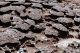 Formaciones rocosas en el trail 6 de Bako