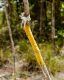 Indicación del trail amarillo en un árbol.