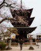 Pagoda del templo Hida Kokubunji en Takayama