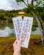 Entradas del Pabellón Dorado en Kioto