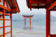 Gran Tori Flotante en la isla de Miyajima