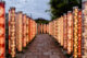 Kimono Forest al atardecer en Kioto