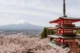 Vista de la pagoda Chureito con el monte Fuji al fondo y los cerezos en flor