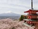 Vista de la pagoda Chureito con el monte Fuji al fondo y los cerezos en flor