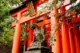 Toris y escultura de zorro en el templo Fushimi Inari taisha en Kioto