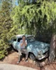 Davi con el coche volador de Ron en la zona de Harry Potter