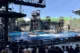 Espectáculo de Waterworld con bien de acción