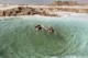 Bañándonos en los lagos de sal en Siwa