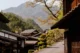 Casas tradicionales en Tsumago