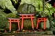 Representación de toris en el templo Fushimi Inari-taisha en Kioto