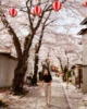 Una bonita calle en el pueblo de Kawaguchiko repleta de cerezos en flor
