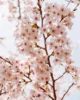 Plena floración de los cerezos en Japón