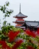 La pagoda de tres pisos Sanjuno-do a la entrada del templo Kiyomizu-dera