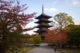 Pagoda de 5 pisos del templo Toji (Flickr/Kalexander2010)