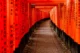 Pasillo de torii en el Santuario Fushimi Inari-Taisha
