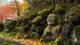 Figuras de piedra tallada (rakan) en el templo Otagi Nenbutsuji (Flickr/Raymond.Ling.43)