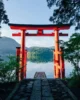 Tori en el Santuario de Hakone (Syhei Inoue/Unsplash)