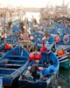 Puerto de Essaouira repleto de barcas al terminar la jornada