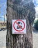 Señal de prohibido acampar