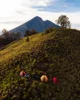 Nuestro campamento en el volcán Rinjani en Indonesia
