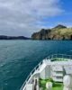 Ferry llegando a la isla de Heimaey
