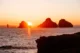 Puffin mirando la puesta de sol