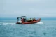 Lancha rápida en busca de ballenas eh Húsavik