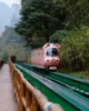 Tren con forma de cerdito en Ten Miles Gallery