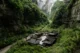 Zona de Three Natural Bridges en Wullong