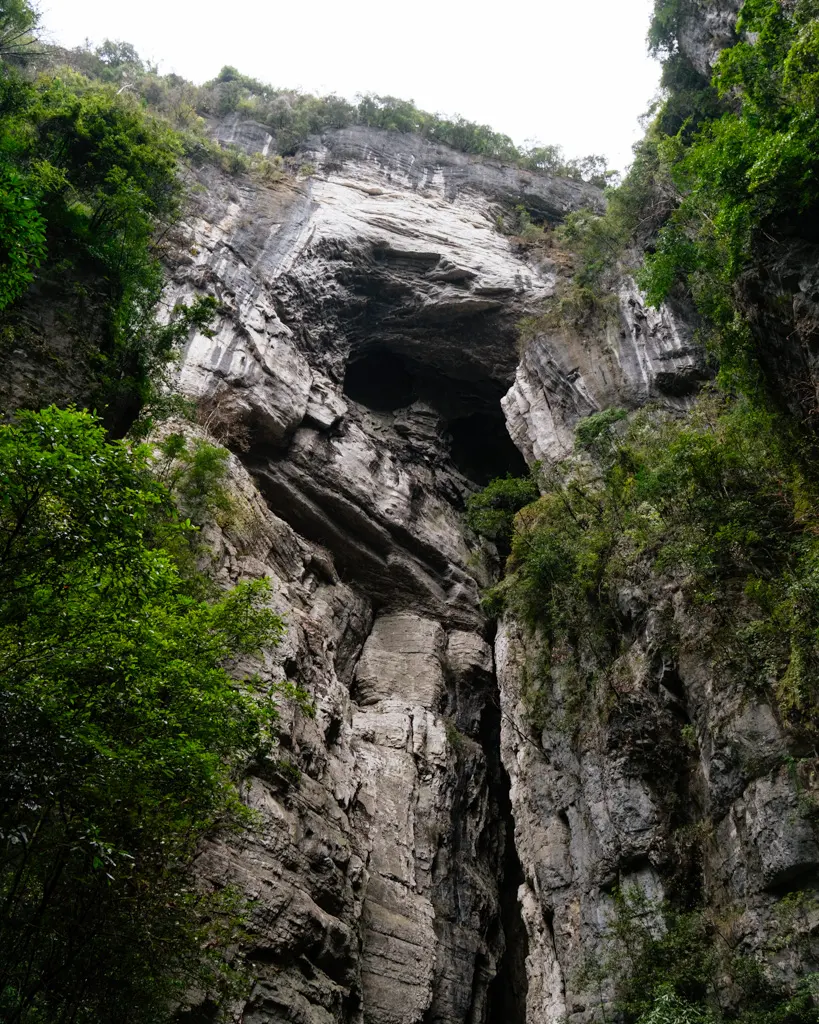 La cara de gorila de Heilong
