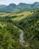 Paisaje repleto de vegetación que podría ser Asturias