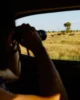 Mirando una familia de cebras con los prismáticos desde la ventanilla del coche
