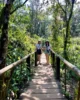 Recorriendo con nuestra amiga Silva de @cualquierdestino los bosques en God's Window