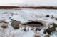 Las termas naturales de Landbrotalaug durante el invierno