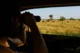 Davi mirando una familia de cebras con los prismáticos en Kruger