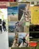 Algunas de las fotos chulis que se hacen los chinos en la Plank Road