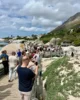 Petate de gente en las pasarelas de Boulders Beach para ver a los pingüinos