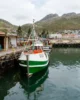 Barco en el puerto de Kalk Bay