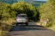 En las carreteras de Sudáfrica es fácil encontrarse con animales